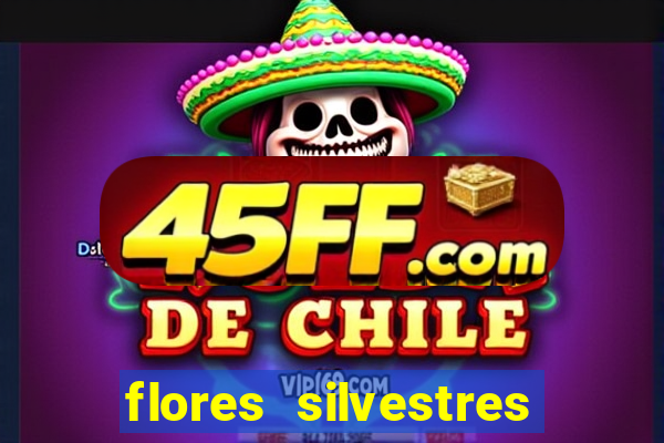 flores silvestres desbravadores desbravadores 25
